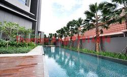 Fifteen Robin (D10), Condominium #93098602